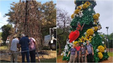 Capioví reconstruyó su árbol de Navidad en tiempo récord tras un incendio accidental