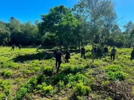 El horror que tuvo que presenciar el hijo mayor de María Ofelia Calixto quien fue asesinada por su pareja