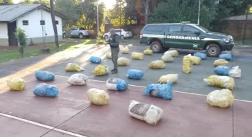 Gendarmería secuestró casi 300 kilos de marihuana valuadas en más de 770 millones