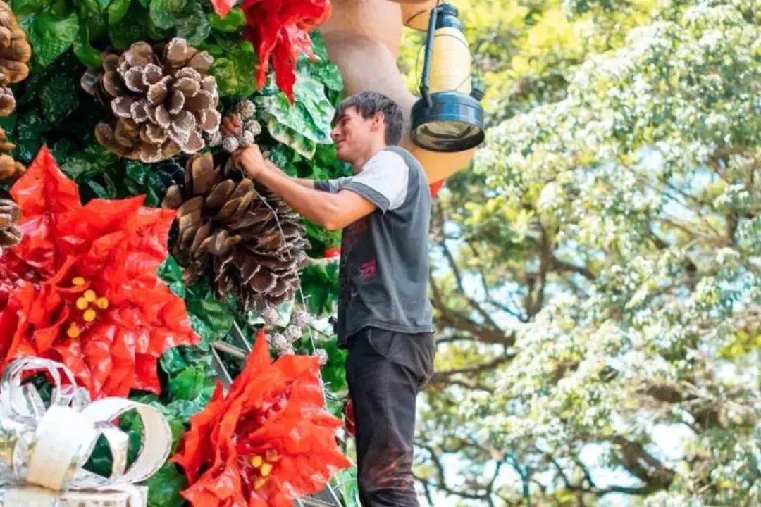 Municipios se suman a la cruzada solidaria para reconstruir el árbol de Navidad en Capioví