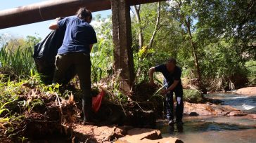Se realizó con éxito la jornada de limpieza de un sector del arroyo Tuichá