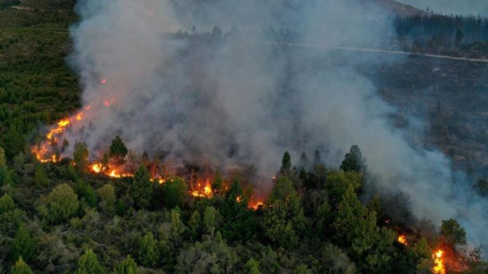 Incendio forestal consume 3.000 hectáreas en el noroeste de Argentina