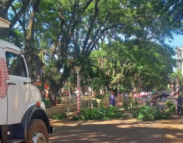 OBERÁ-Se normalizó la circulación por Avda Sarmiento tras la extracción de la rama caída