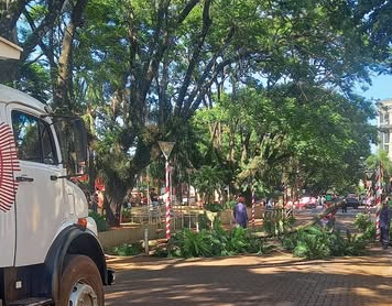 OBERÁ-Se normalizó la circulación por Avda Sarmiento tras la extracción de la rama caída