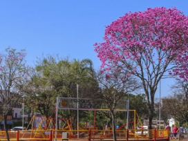 Tras las lluvias el calor disminuyo, pero habrá altas temperaturas en la tarde y posibles chaparrones