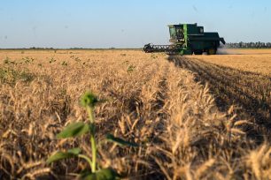 El Gobierno nacional reduce retenciones, exige a provincias ajustar impuestos para compensar el impacto fiscal