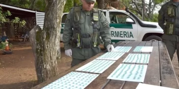 Detienen a hombre con 695 pastillas de éxtasis en un automóvil que viajaba a Buenos Aires desde Posadas