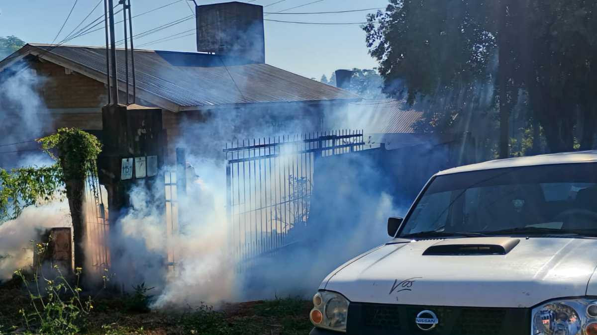 Realizan bloqueos para eliminar el mosquito del dengue en Oberá