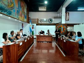 Oberá regula el servicio de taxis, remises y plataformas digitales