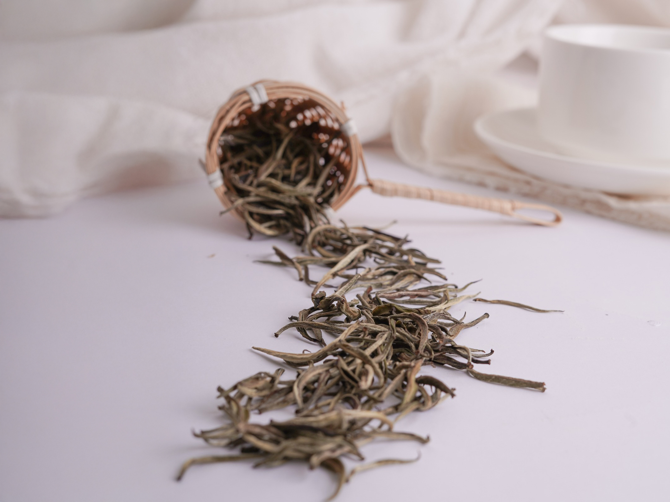 AVANCE CLAVE PARA EL SECTOR TEALERO: EL TÉ BLANCO SE INCORPORA AL CÓDIGO ALIMENTARIO ARGENTINO