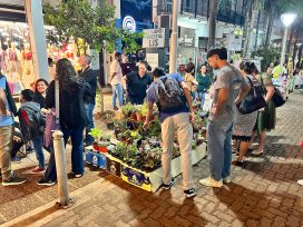 Oberá despidió el verano con una la Noche Peatonal