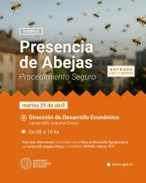 Charla “Abejas y Hogares: cómo actuar ante esta situación”