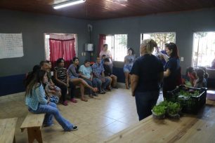 Programa “Armamos Juntos la Huerta” sigue entregando plantines de verduras