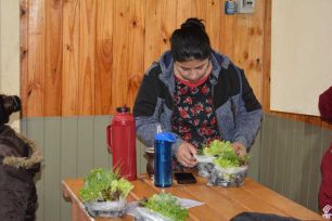 Entrega de Plantines de Verduras en el Barrio Osorio