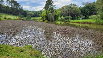 El Salto Berrondo se renueva: Iniciarán importantes tareas de saneamiento y mejora en su emblemático lago