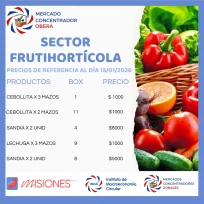 Los Mercados Concentradores mantienen precios accesibles y atención directa del productor en Oberá, Eldorado y Posadas