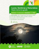 El Jardín Botánico de noche, luces, sombras y naturaleza