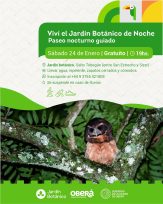 Oberá potencia su verano con el Turismo de Experiencia: habrá un nuevo día de Paseo Nocturno en el Jardín Botánico