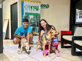 Oberá: La Oficina de Turismo ahora es oficialmente Pet Friendly