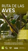 Oberá se prepara para una Jornada de Observación de Aves y Saberes Naturales en el Salto Berrondo