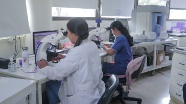El Laboratorio del Madariaga se consolida como impulsor del diagnóstico público en Misiones