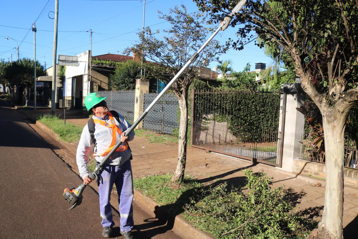 Desde el 15 de junio se desarrollará la tercera etapa del Operativo Anual de Podas en Oberá
