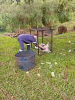 Intensifican tareas de limpieza y mantenimiento en distintos barrios de Oberá