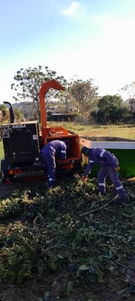 Con el operativo Integral de Podas se incorporó una chipeadora