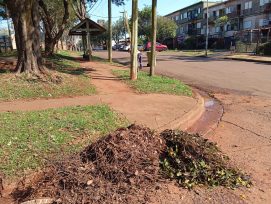 OBERÁ: Operativo de limpieza en el barrio Yerbal Viejo