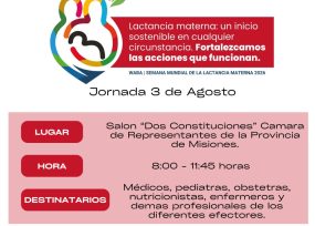 Semana Mundial de la Lactancia Materna: el próximo lunes habrá una jornada de actualización para personal de salud