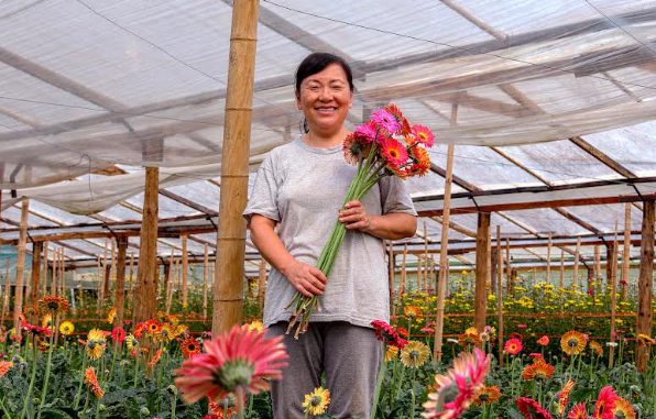 En Eldorado capacitan para formar nuevos oficios vinculados a la floricultura