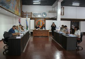 “Esfuerzo compartido”: el Concejo Deliberante aprobó nuevas eximiciones para vecinos de Villa Barreyro II