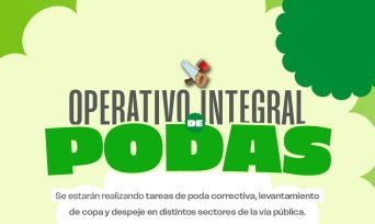 El Operativo Integral de Podas avanza con la séptima etapa en nuevos barrios