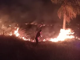 Bomberos combatieron durante más de ocho horas un incendio que arrasó 10 hectáreas de malezas en Posadas
