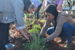 Villa Falk: vecinos y Municipio avanzan en la construcción de una plaza y realizaron una jornada de plantación