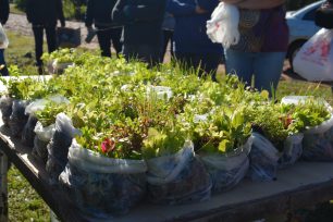 Más familias de Oberá se suman a la producción de alimentos