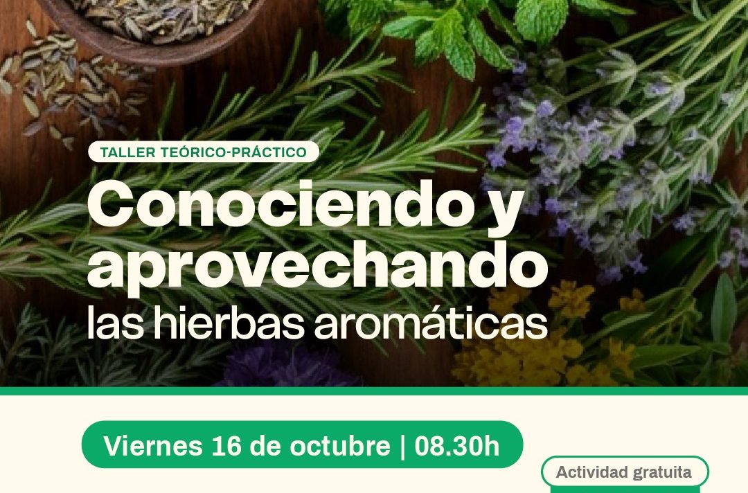 Taller teórico-práctico sobre plantas aromáticas en el Jardín Botánico