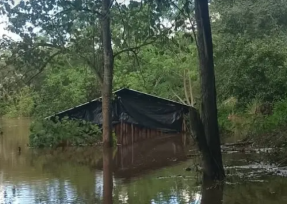 Familias mbya afectadas por inundación, “Estamos viviendo bajo una lona”