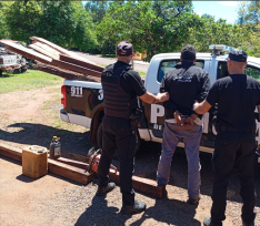 Lo sorprendieron robando madera de lapacho en una propiedad rural de Mártires y terminó detenido