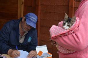 Villa Blanquita: limpieza urbana y cuidado de la salud animal